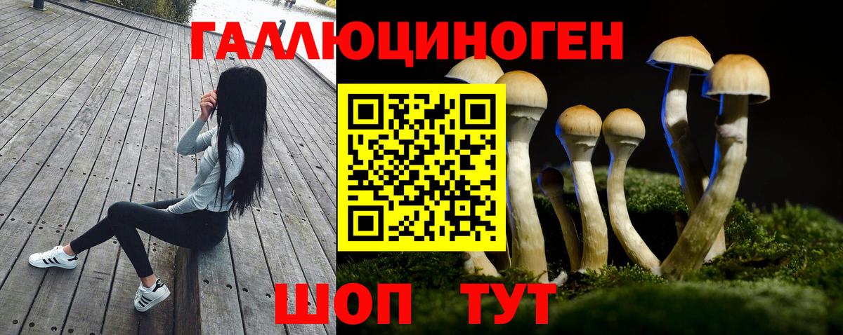 Десногорск  Галлюциногенные грибы MAGIC MUSHROOMS  Вход с VPN 